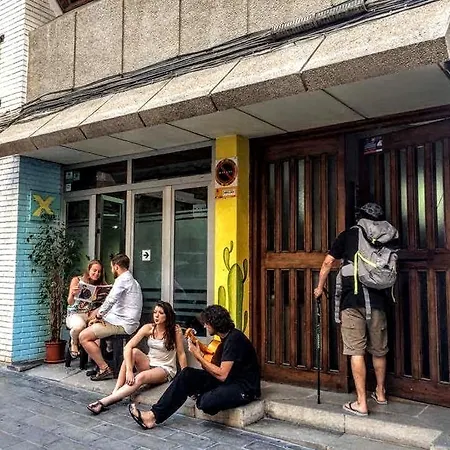 Hostel X *