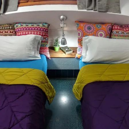 Hostel X