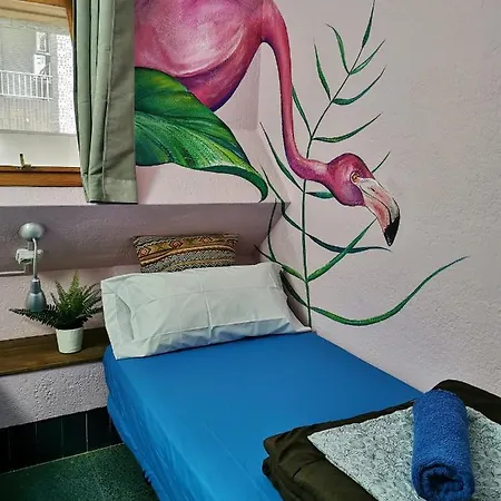 Hostel X *